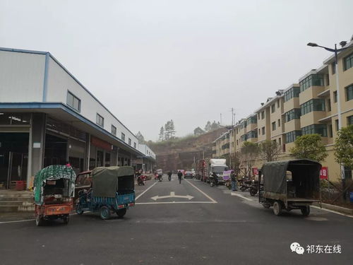 祁東縣大型活禽水產(chǎn)綜合批發(fā)市場 位置、功能與區(qū)域商貿(mào)新格局